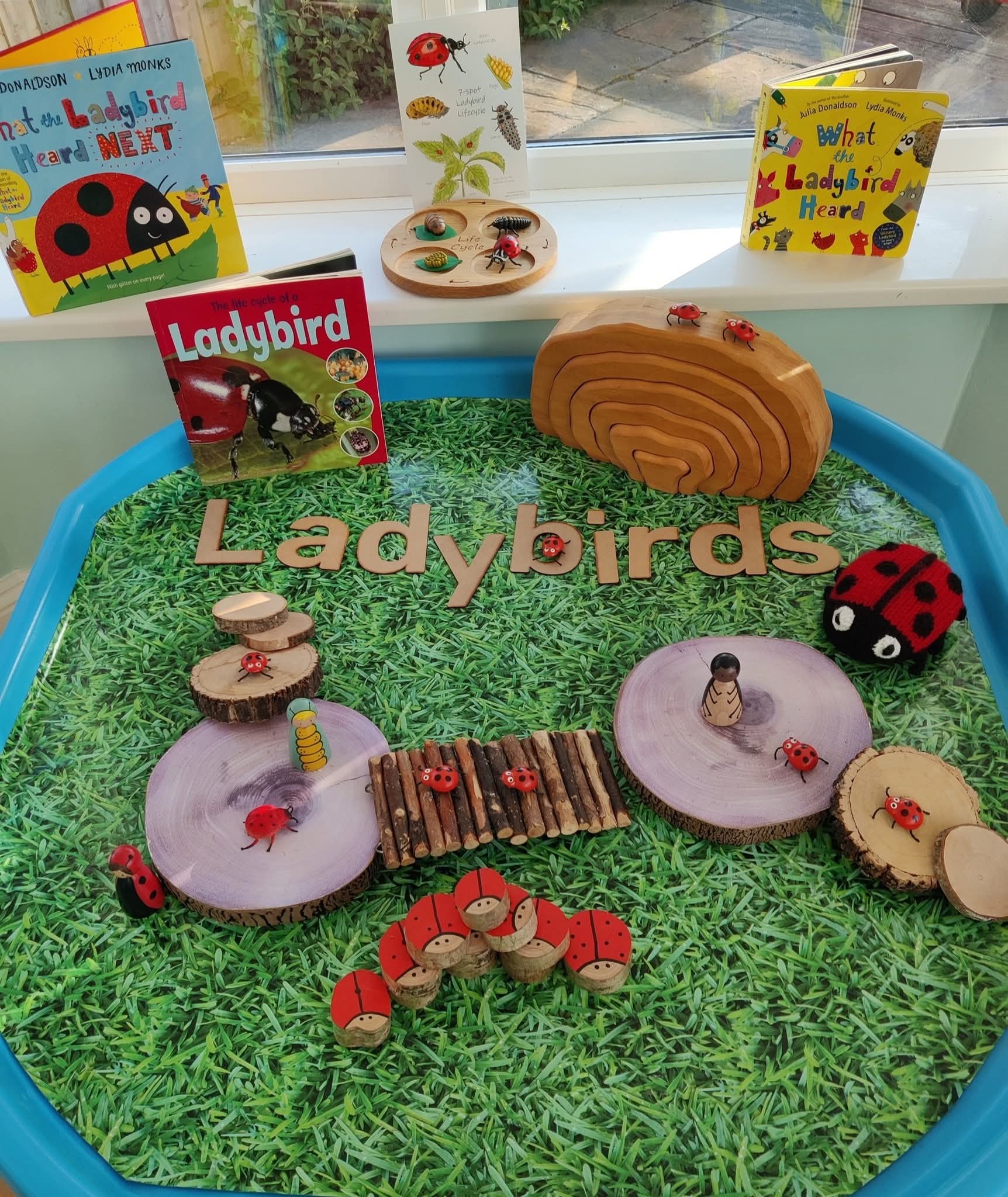 Activity photo — playdough